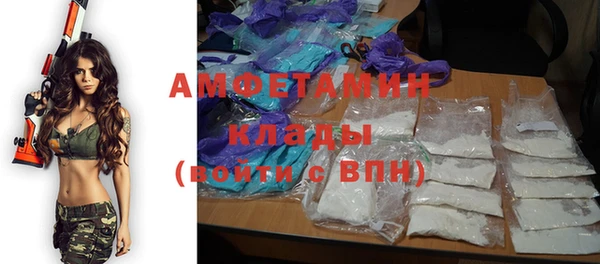 гашик Алексеевка