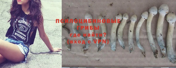 гашик Алексеевка