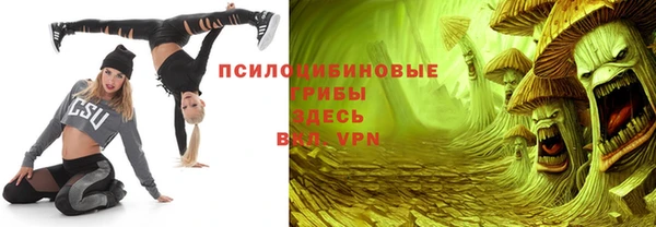 гашик Алексеевка